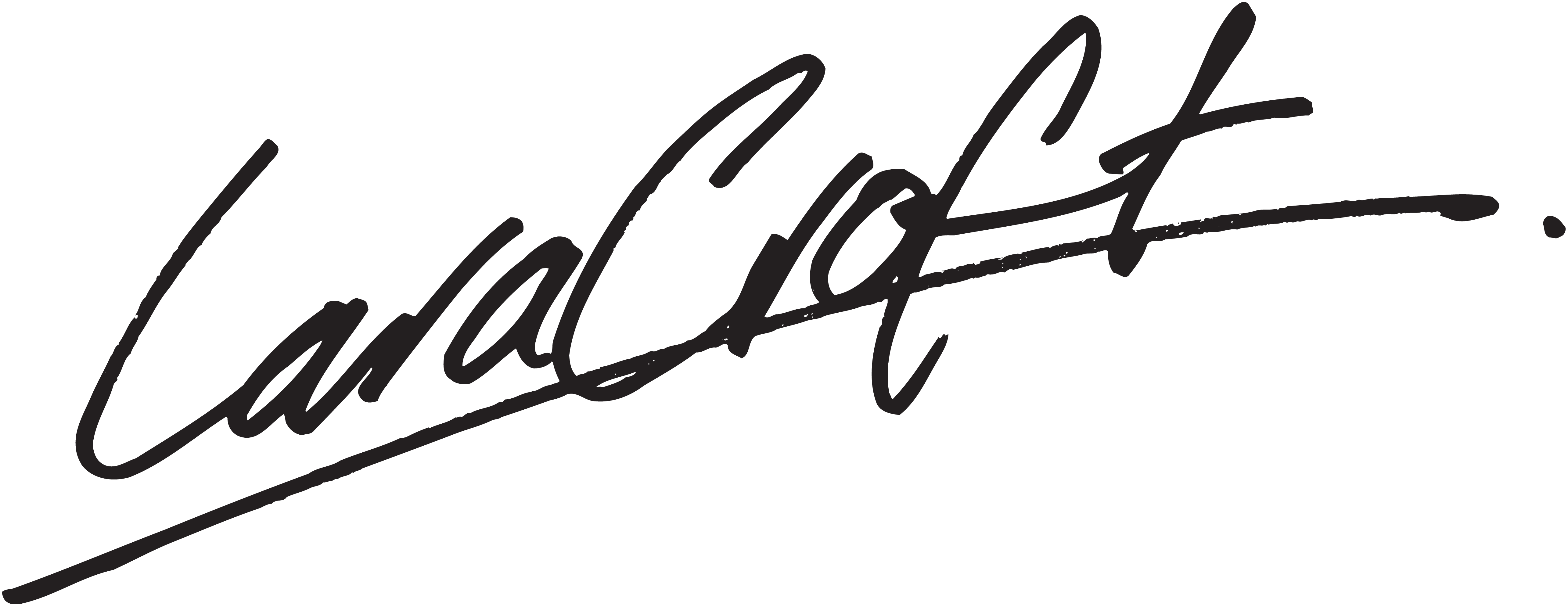 signature of chef